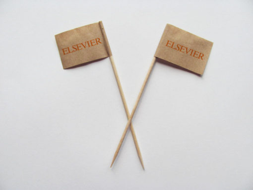TPflag150- promotional toothpick flags-eco product-gastro marketing-pickinfo